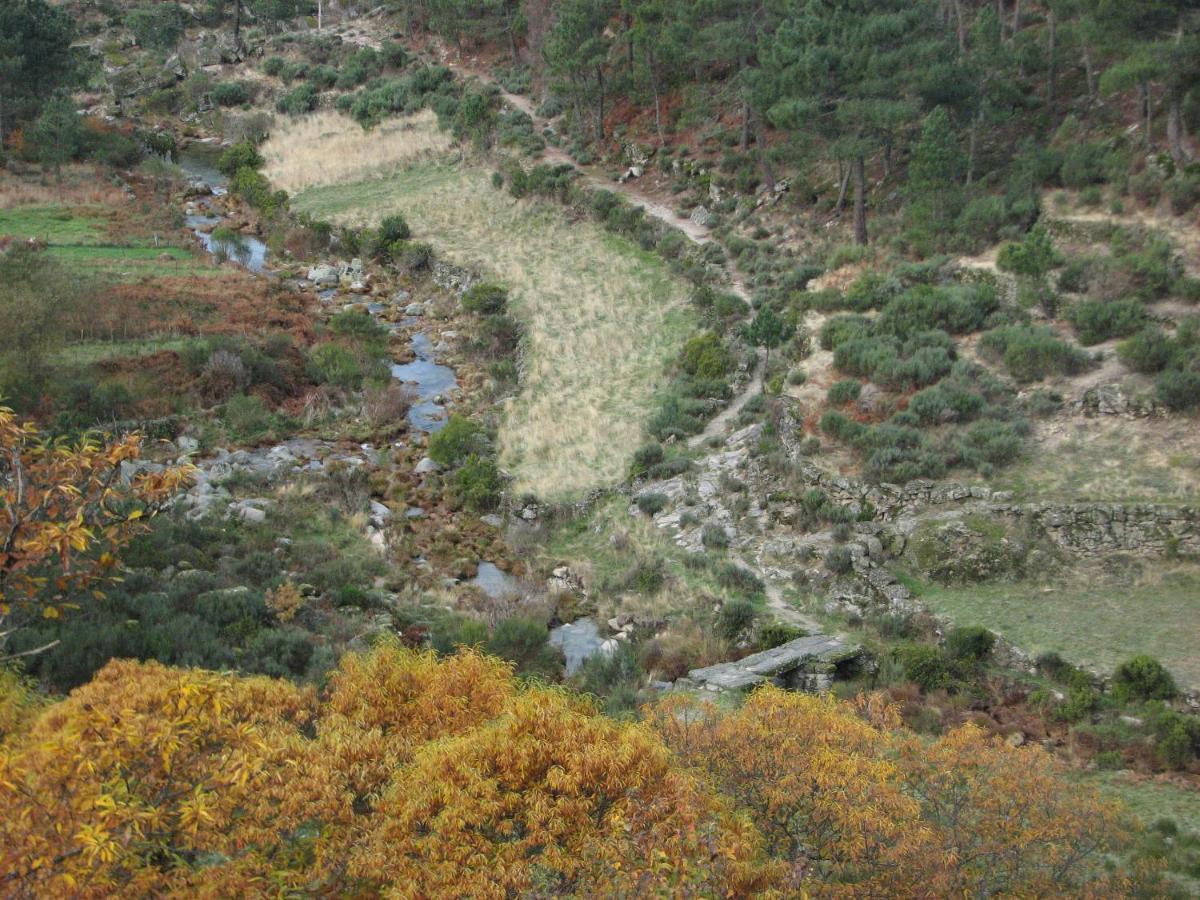 Sambuc'Asa - Serra Da Estrela Сабугейру Экстерьер фото