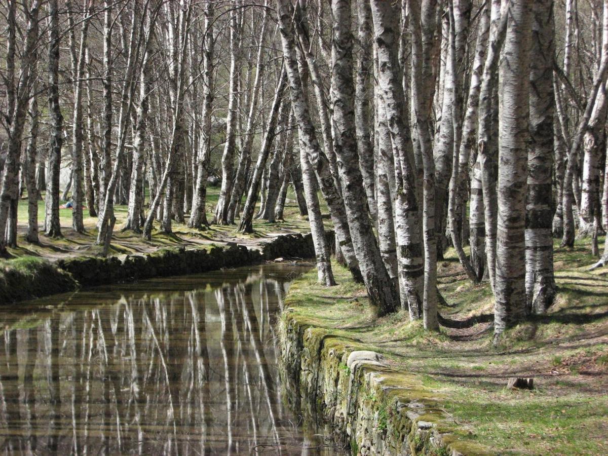 Sambuc'Asa - Serra Da Estrela Сабугейру Экстерьер фото